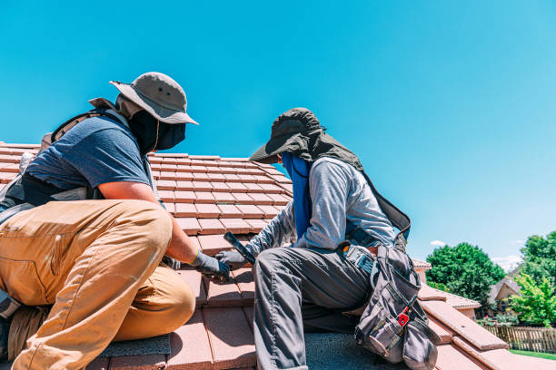 Protech Roofing Solutions